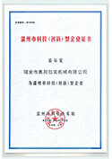 Wenzhou Technology (Innovation) Enterprise Certificate